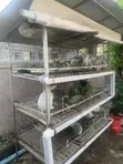 9 Compartment Rabbit Cage (Turnkey Assembly) - 4
