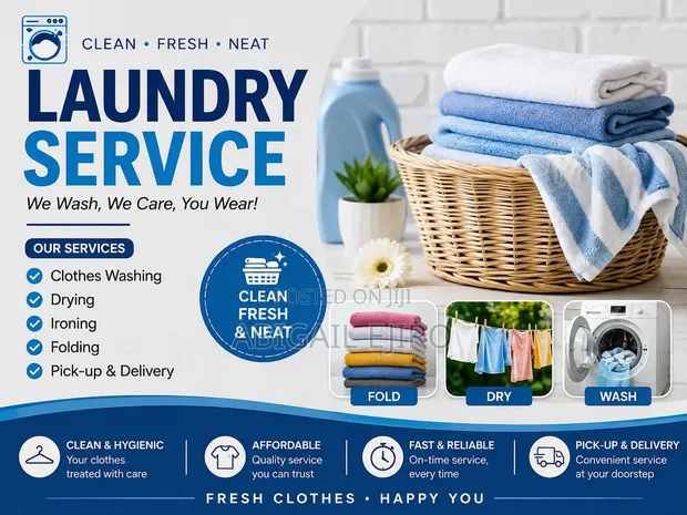 Professional Laundry Service - Lagos - 1