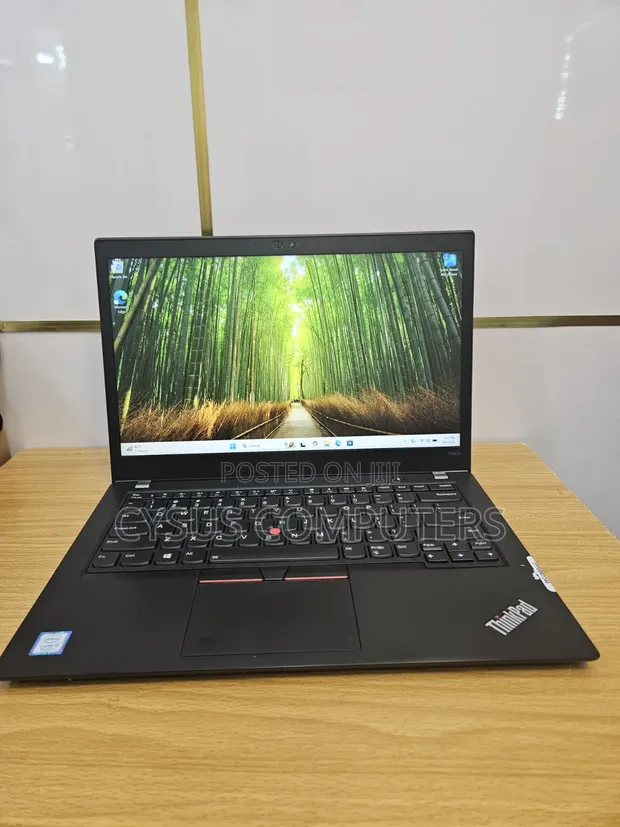 Lenovo ThinkPad T480s Laptop - Core i5, 8GB RAM, 256GB SSD - 1