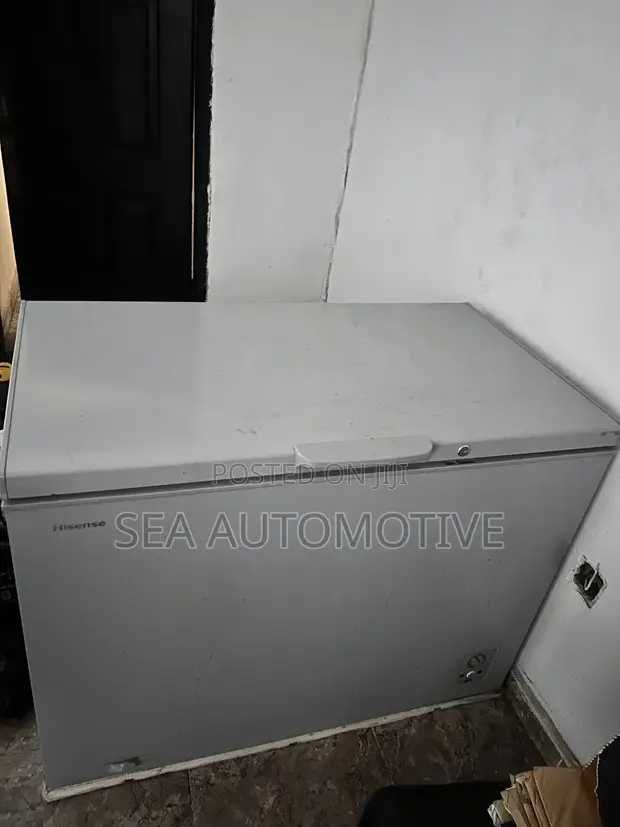 Hisense 297L Chest Freezer (Model: FC390SH) - 1
