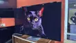Samsung 65" QD OLED S95C Series Smart 4K HDR TV (2023) - 4