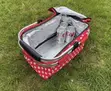 Foldable Picnic Cooler Bag - 2