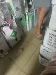 Dy R22 Gas Mai Sanyin Jiki (13.6kg) - 2
