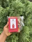 5k Perfume Combo Pack - 5