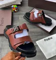 Pedro Slides - 3