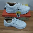 Crabkids & Stellar White Canvas Sneakers (Sizes 31-42) - 3