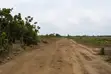 Farmland for Sale in Odagwa Etche, Port Harcourt - 2