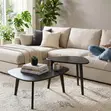 Nesting Coffee Table Set - Organic Triangular - 3