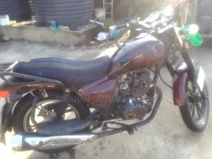 Denstar Lion King 2021 Babur