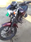 Denstar Lion King 2021 Motorcycle - 4