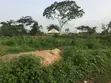 Residential Plot for Sale - Mile 6, Abeokuta - 1