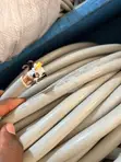 6mm x 4c Marine Cables - 2