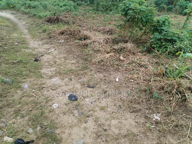 7 Plots of Land for Sale in Etche - 1