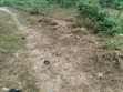 7 Plots of Land for Sale in Etche - 1