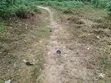 7 Plots of Land for Sale in Etche - 2