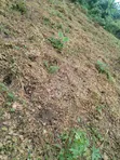 7 Plots of Land for Sale in Etche - 5