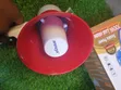 Ahuja Megaphone Mai Ƙarfin Biyu Mai Ƙarfi 150W - 3