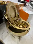 Ideal Gold One-Piece Egg Shaped Water Closet - 1