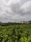 Gazette and Registered Survey Land for Sale in Epe - 1