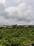 Gazette and Registered Survey Land for Sale in Epe - 2