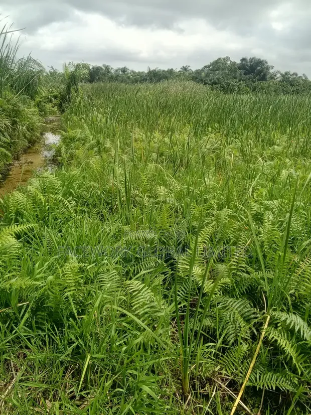 7 Plots for Sale in Awoyaya - 1