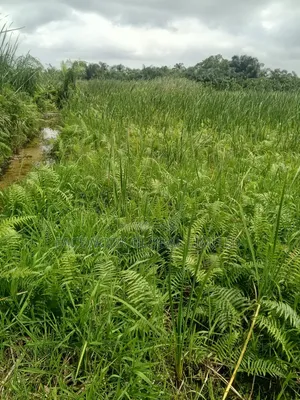 7 Plots for Sale in Awoyaya