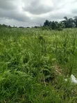 7 Plots for Sale in Awoyaya - 4