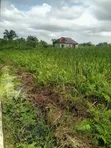 7 Plots for Sale in Awoyaya - 5