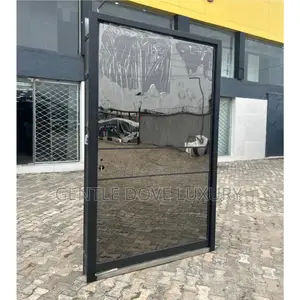 4ft x 7ft Stainless Steel Pivot Door with Strong Glass