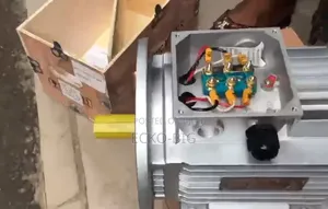 ECKO-BIG Industrial Electric Gearbox Motor (3 Phase)