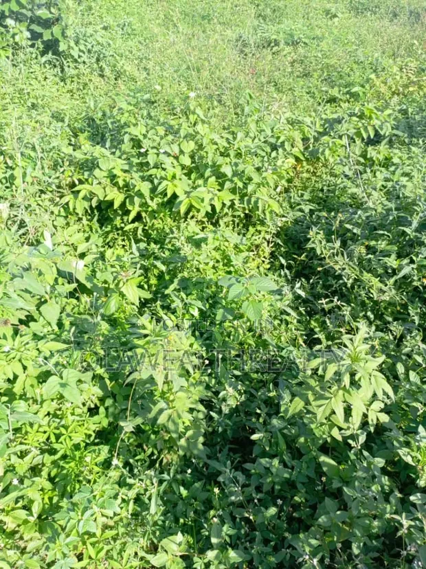 900sqm Residential Land for Sale, Maitama Main - 1