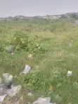Pinnock Beach Waterfront Land - 500sqm - 3