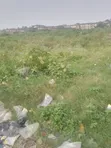 Pinnock Beach Waterfront Land - 500sqm - 4
