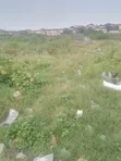 Pinnock Beach Waterfront Land - 500sqm - 5