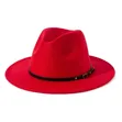 Stylish Fedora Hat (13 Colours Available) - 3