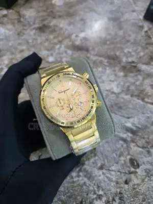 Salvatore Ferragamo Luxury Men's Chain Strap Watch