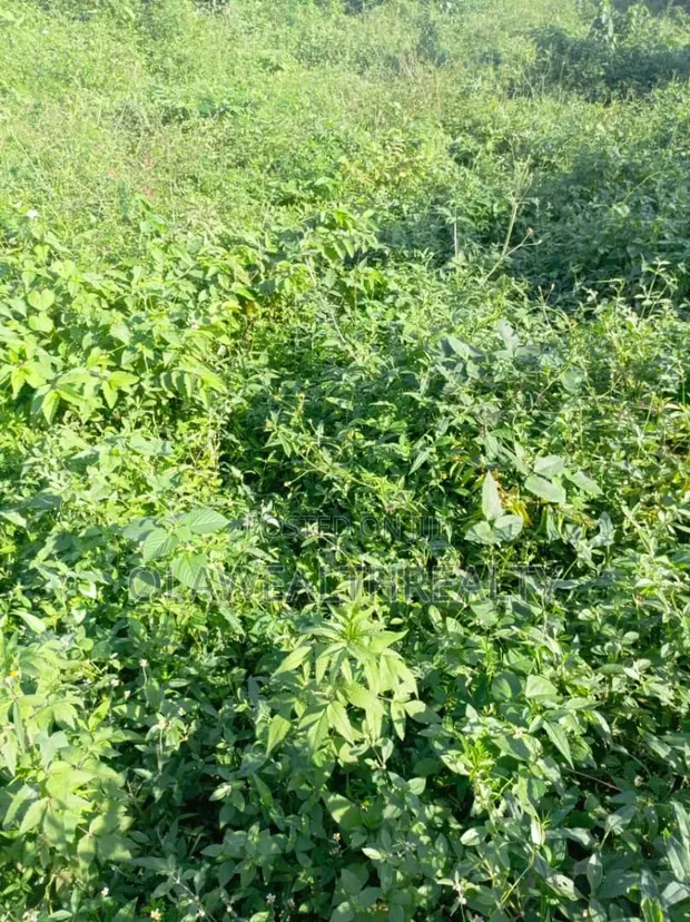 697sqm Residential Land for Sale, Katampe Main - 1