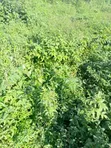 697sqm Residential Land for Sale, Katampe Main - 2