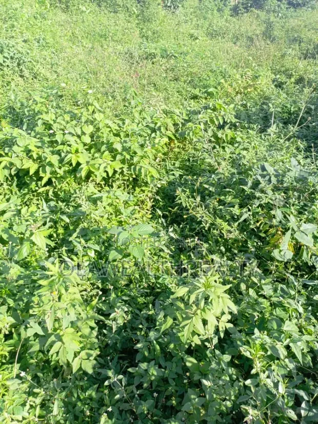 7,391sqm Prime Mixed-Use Land, Garki 2, Abuja - 1