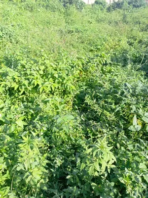 7,391sqm Prime Mixed-Use Land, Garki 2, Abuja