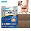 Sumifun Quit Smoking Patch - 10 Patches - 3