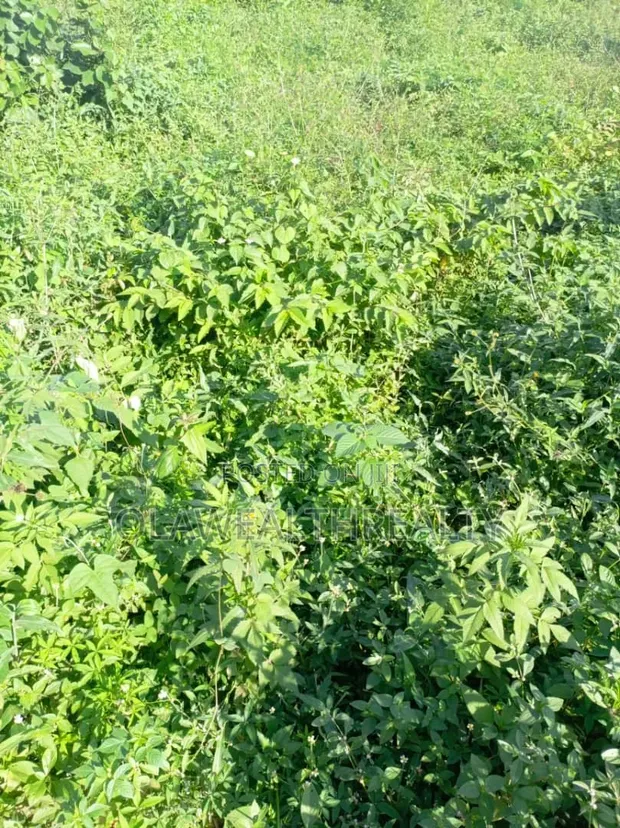 1,914sqm Residential Land for Sale in Guzape - 1