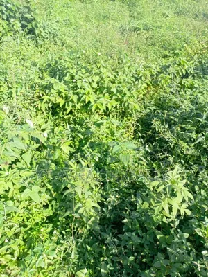 1,914sqm Residential Land for Sale in Guzape