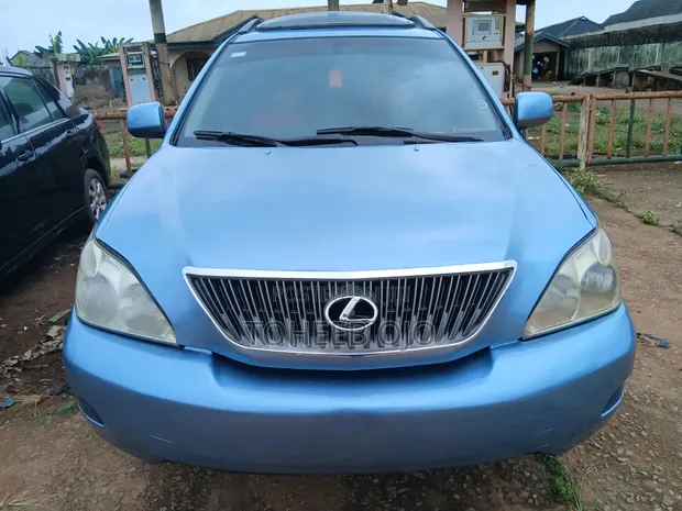 Lexus RX 2008 Grey - 1