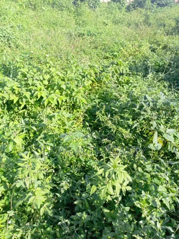 10 Hectares Mixed-Use Land for Sale, Guzape 2 - 1