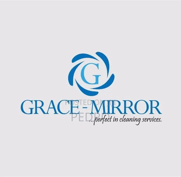 Grace Mirror Cleaning: Professional Deep Cleaning Services - 1