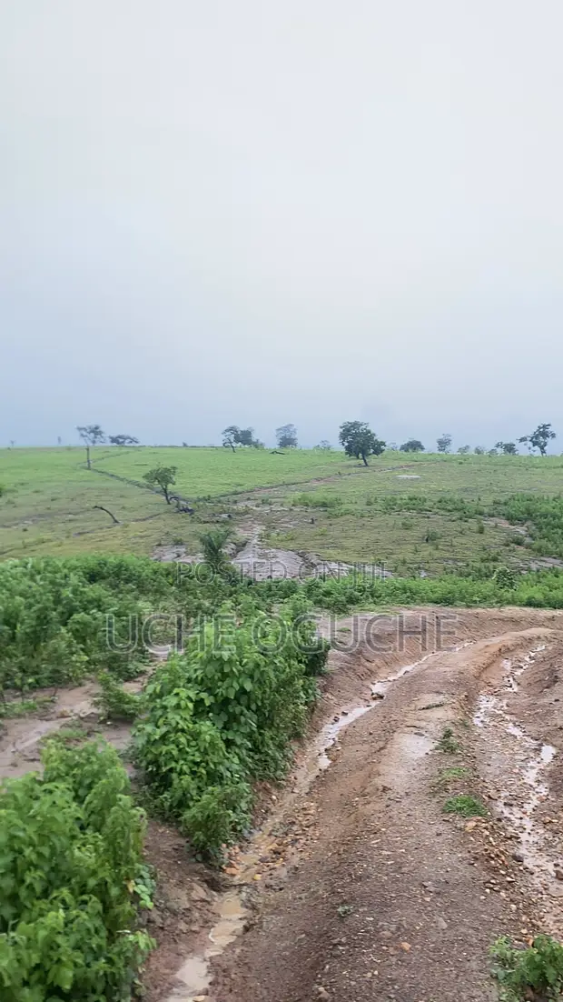 Filin FCDA C of O Don Siyasa - Kuje - 1