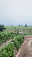 Filin FCDA C of O Don Siyasa - Kuje - 2