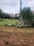 Wurin Kasuwanci Don Siyarwa - Jahi - 3
