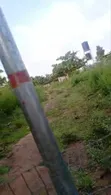 10 Acres Fertile Farmland for Sale, Soku Fashola Area, Iseyin - 5